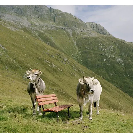 In Kirchdorf With Wilder Kaiser View 公寓 布肯