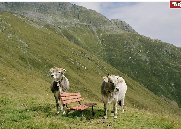 Modern Penthouse In Gasteig Διαμέρισμα Kirchdorf in Tirol
